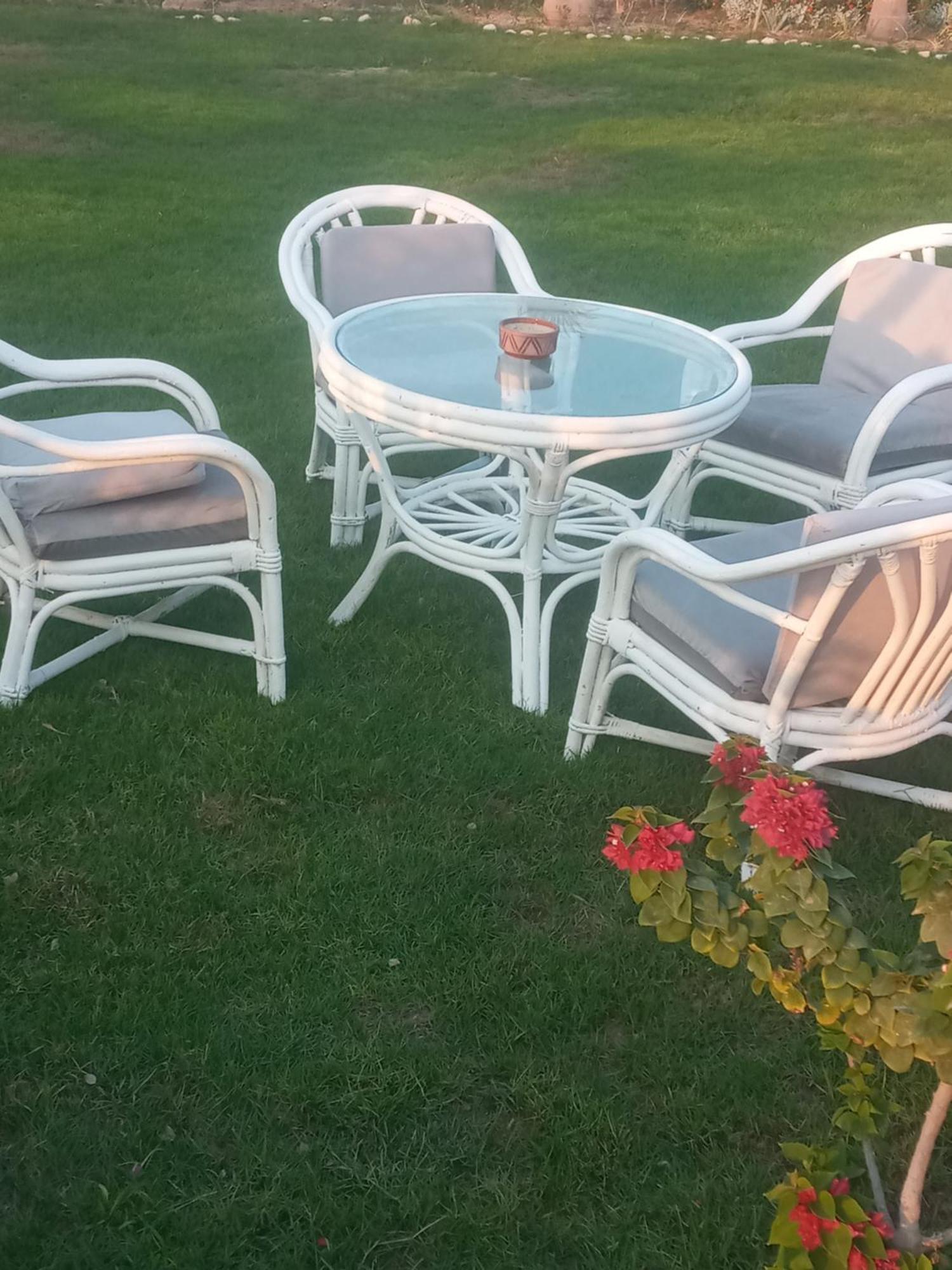 Encanto Getaway Sheikh Zayed City